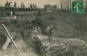 Villers-Cotterets. Der Wald - Equipage Menier Hallali de Cerf in Silly-la-Poterie von French Photographer