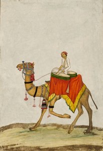 Ein Kamel mit seinem Reiter, der Trommeln spielt, um 1840