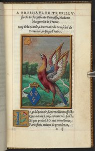Ein Phönix, aus 