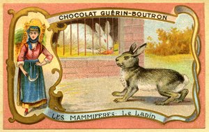 Werbe-Chromolithographie von Schokoladen Guerin Boutron, Säugetiere, Der Kaninchenkäfig und Wildgehege