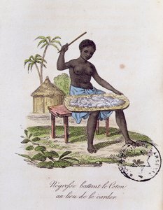 Afrikanische Frau, die Baumwolle schlägt