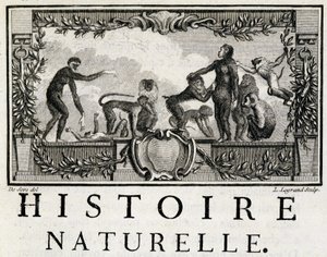 Allegorie der Naturgeschichte über Affen - in „Histoire naturelle, générale et particulière“ von Buffon