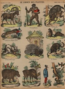 Tiere im Jardin des Plantes, Paris, Frankreich von French School