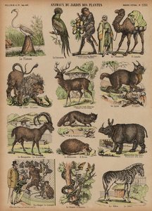 Tiere des Jardin des Plantes, Paris, Frankreich von French School