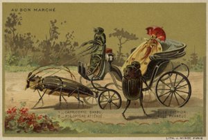 Au Bon Marché-Karten mit anthropomorphen Insekten von French School