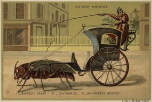 Au Bon Marché-Karten mit anthropomorphen Insekten