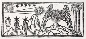Bärtige Sterne, eine Sternschnuppe, Schweif eines Kometen, ein langhaariger Stern, ein festgenagelter Stern