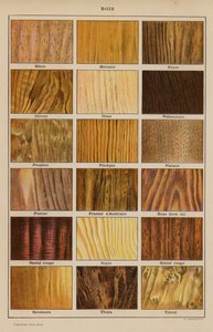 Holz (Farblithografie) von French School