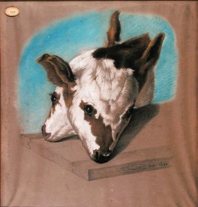 Kalb mit zwei Köpfen von French School