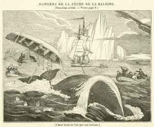 Boot in die Luft geschleudert von einem Wal (Gravur) von French School