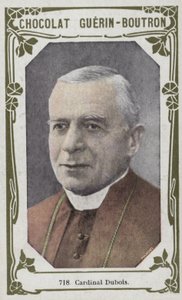 Kardinal Dubois von French School