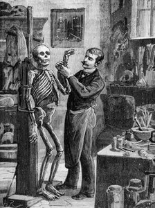 Fall Gouffé: Die imaginäre Rekonstruktion der Leiche Gouffé durch Dr. Lacassagne - in „La Malle Sanglante“, ed. A. Fayard, Paris, n.d. - Paris, B.H.V.P.D. von French School