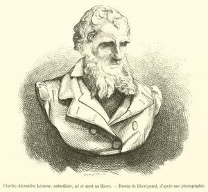 Charles-Alexandre Lesueur, Naturforscher, geboren und gestorben in Le Havre von French School