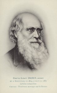 Charles Darwin, englischer Naturforscher von French School