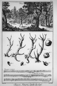 Jagd - die Suche nach dem Hirsch - „Die Große Enzyklopädie, oder Dictionnaire Raisonne des Sciences, des Arts et des Metiers“ von Denis Diderot und Jean d