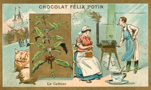 Kaffee von French School