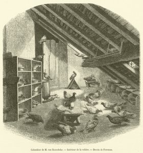 Taubenschlag von M. van Roosebeke, Innenansicht der Voliere von French School