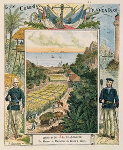 Deckblatt eines Schulheftes, das eine Zuckerrohrplantage in Guadeloupe darstellt, 1892