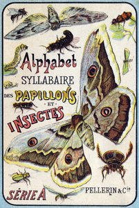 Deckblatt von "Syllabary alphabet of butterflies and insects". Serie A. Pellerin et Cie, Drucker-Verleger, Epinal, Ende des 19. Jahrhunderts. von French School