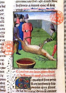 Die Beine eines toten Hirsches abschneiden, aus dem Livre de la Chasse von Gaston Phebus de Foix (1331-91) von French School