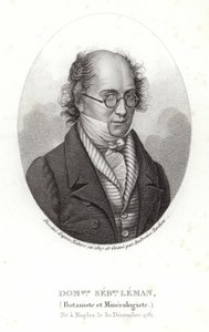 Dominique Sebastion Leman von French School