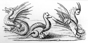Drachen