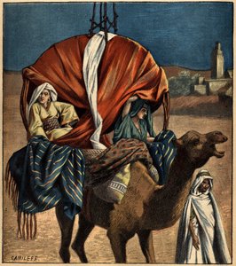 Dromedar als Transportmittel. Tunesien, Afrika von French School
