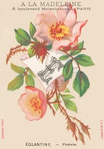E: Eglantine - Poesie von French School