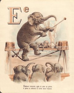 E: Elefant, Akrobat, unerschrockener Elefant, agil und voller Anmut, entspannt kaum das Seil im Raum von French School