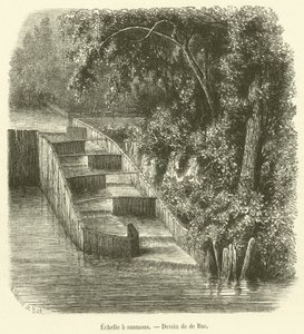 Lachsleiter