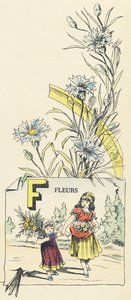 F: Blumen von French School