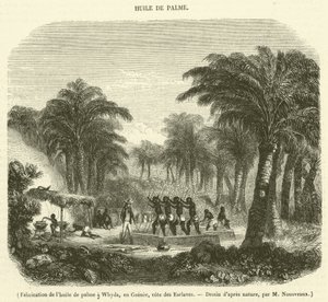 Herstellung von Palmöl in Whyda, Guinea, Sklavenküste von French School