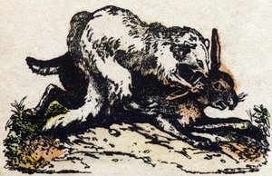 Frettchen. Gravur in "Alphabet der wilden Tiere". 9. Serie. Bildersammlung von Epinal, Pellerin, Drucker-Verleger, um 1870 von French School