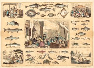 Fische