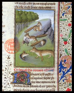 Füchse, aus dem Livre de la Chasse von Gaston Phebus von French School
