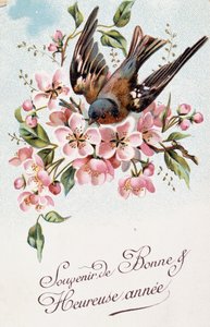 Französische Neujahrskarte mit Blumen und einem Vogel