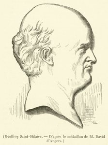 Geoffroy Saint-Hilaire von French School
