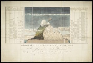 Geographie der Äquatorialpflanzen