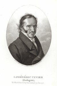 George Cuvier von French School