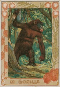 Gorilla von French School