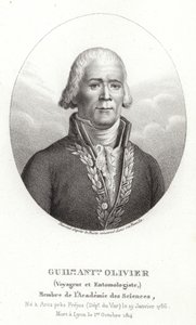 Guillaume Antoine Olivier von French School