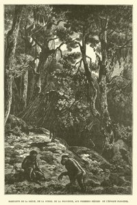 Bewohner von Griechenland, der Schweiz, der Provence in den ersten Jahrhunderten des Pliozäns (Gravur) von French School