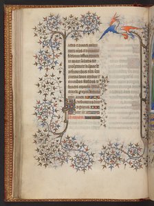 Stunden der Jungfrau, Stundenbuch, Add MS 32454 f.37v, Frankreich von French School