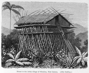 Haus im Arfak-Dorf Memiwa, Neuguinea, aus 