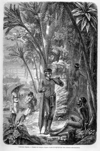 Illustration veröffentlicht in der Ausgabe von 1862 von „Le Tour du monde“, die einen Dayak-Bewohner der Insel Borneo darstellt. Gravur.