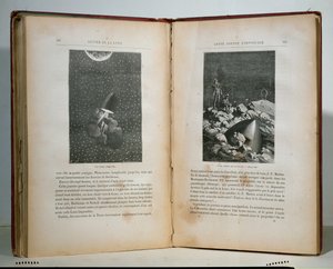 Illustrationen aus Reise um den Mond von Jules Verne