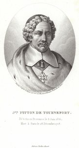 Joseph Pitton de Tournefort von French School