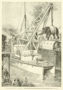 Das Verladen der Elefanten (Stich) von French School