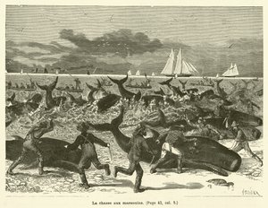 La chasse aux marsouins (Stich) von French School