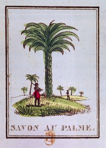 Etikett für eine Palmöl-Duftseife, Darstellung einer Palme von French School